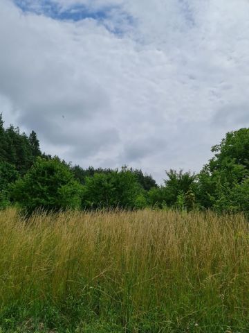 Działka budowlana Oleszno, ul. Lednicka. Zdjęcie 8