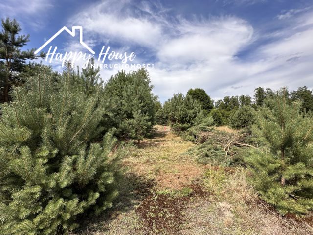 Działka budowlana Rytel, ul. Nadrzeczna. Zdjęcie 11