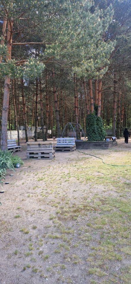 Działka budowlana Daniszewice. Zdjęcie 5