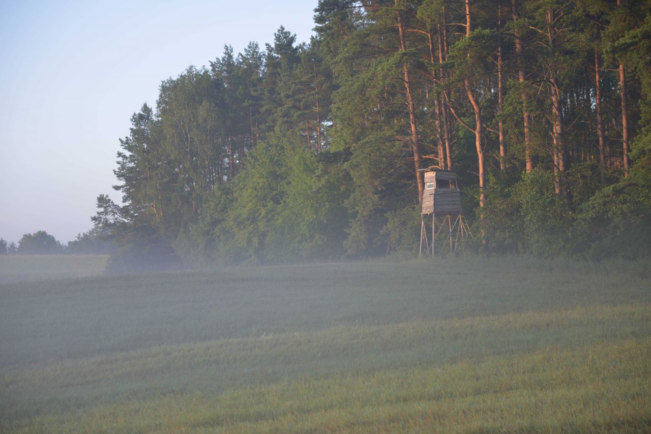 Działka siedliskowa Ramsowo. Zdjęcie 6