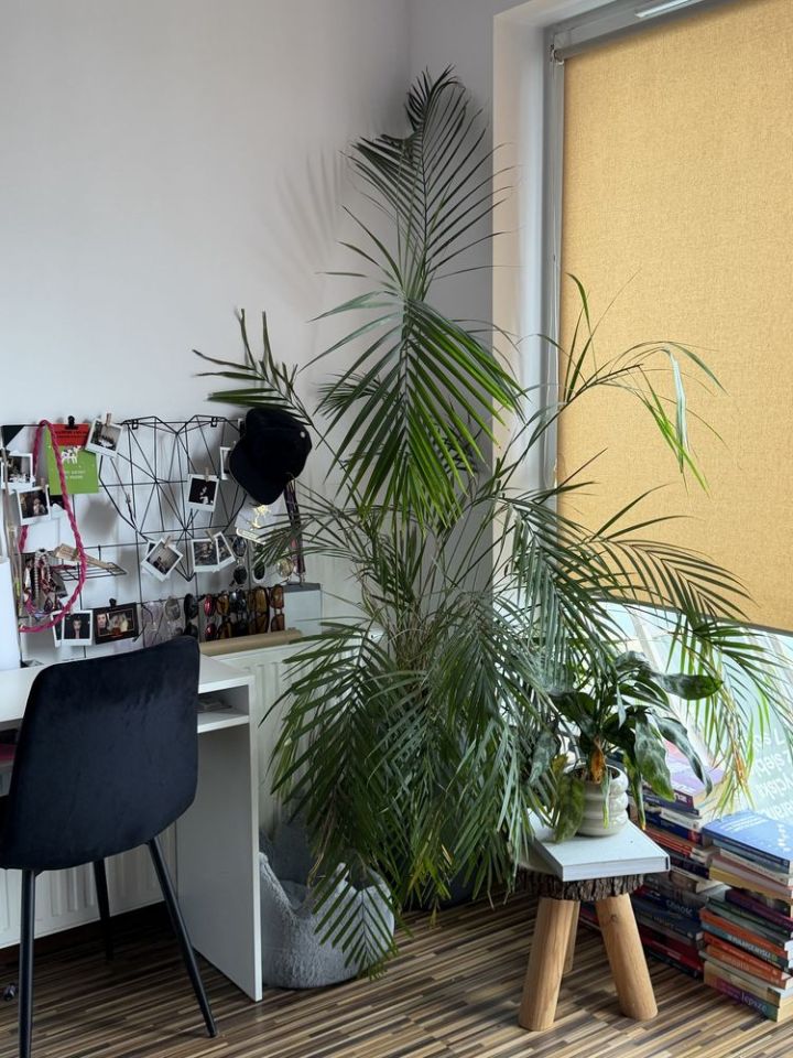 Mieszkanie 1-pokojowe Poznań Wilda. Zdjęcie 8