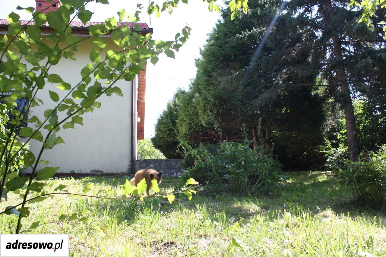 bliźniak, 3 pokoje Warny. Zdjęcie 5