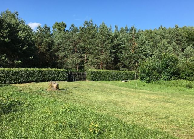 Działka rolno-budowlana Dłużki. Zdjęcie 1