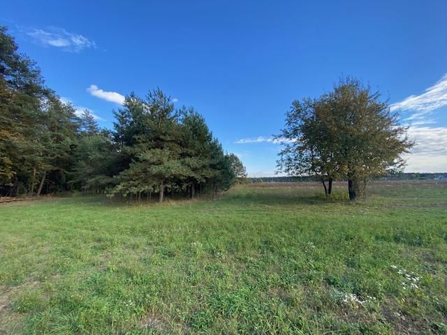 Działka rolno-budowlana Bukownica. Zdjęcie 3