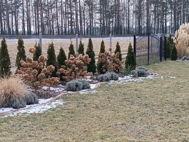 Działka budowlana Płomieniec. Zdjęcie 1