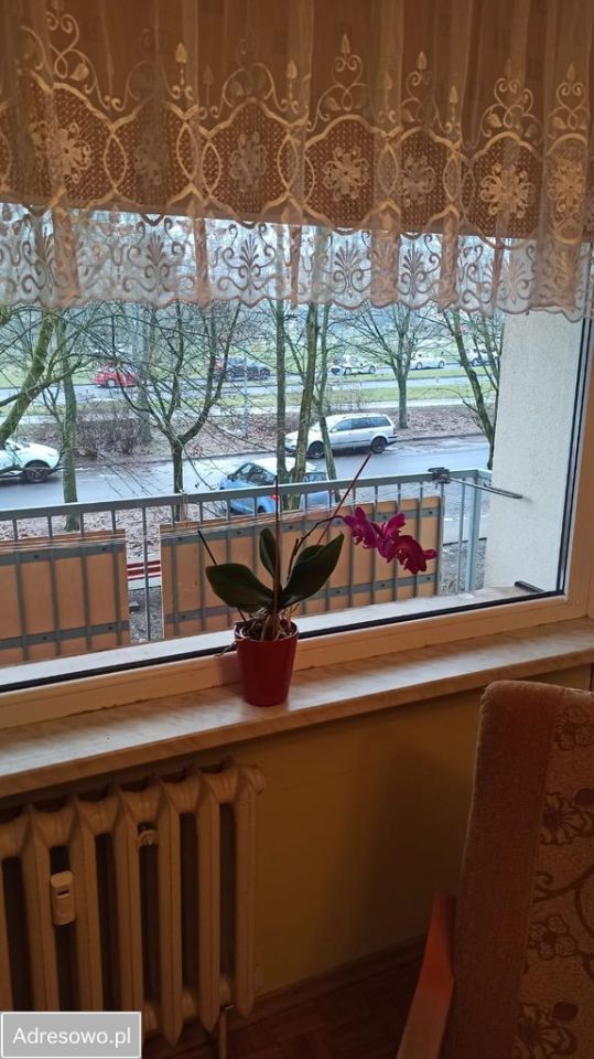 Mieszkanie 3-pokojowe Zielona Góra Centrum. Zdjęcie 11