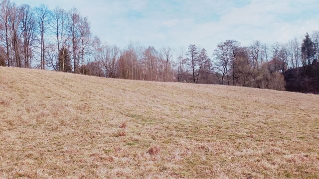 Działka budowlana Glanów. Zdjęcie 2