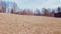 Działka budowlana Glanów. Zdjęcie 1