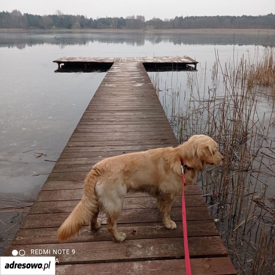 Działka rekreacyjna Trojaczek. Zdjęcie 4