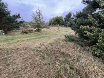 Działka budowlana Zielonczyn, ul. Zielona. Zdjęcie 4