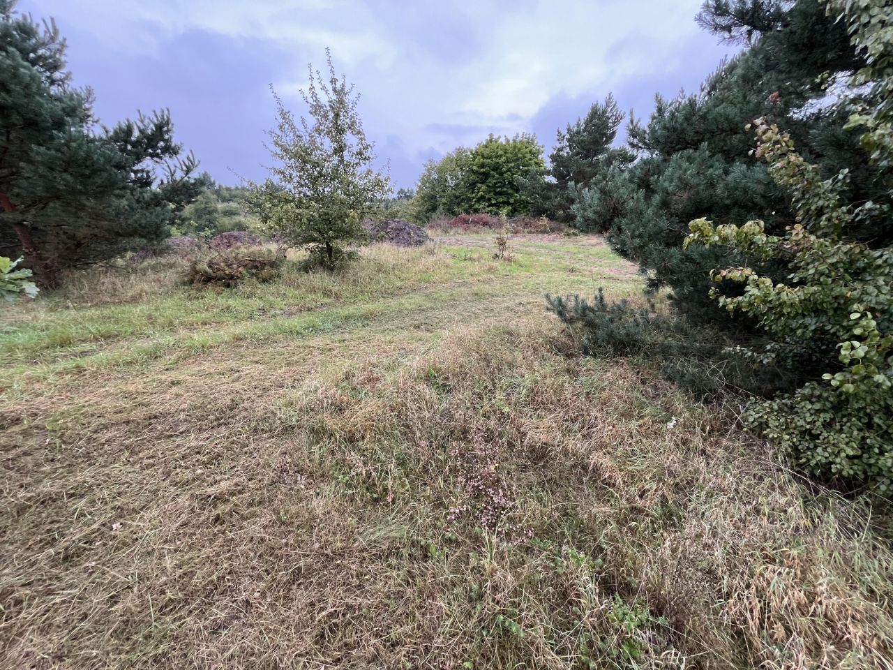 Działka budowlana Zielonczyn, ul. Zielona. Zdjęcie 5