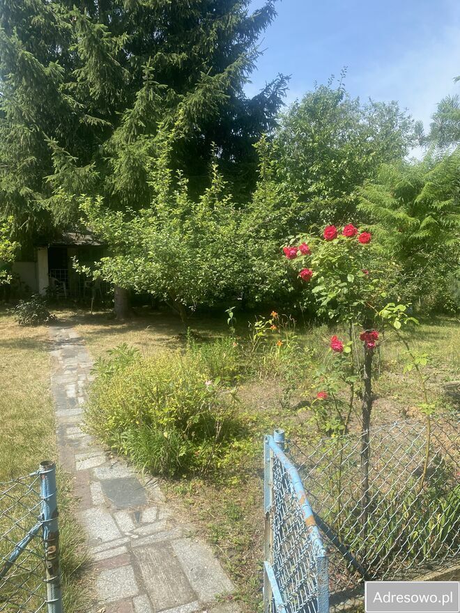 Działka rod Świdnica. Zdjęcie 6