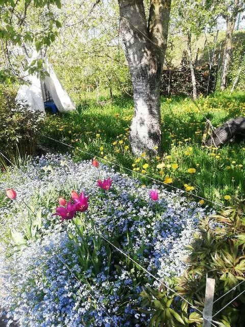 Działka rod Lublin, ul. Wapienna. Zdjęcie 7