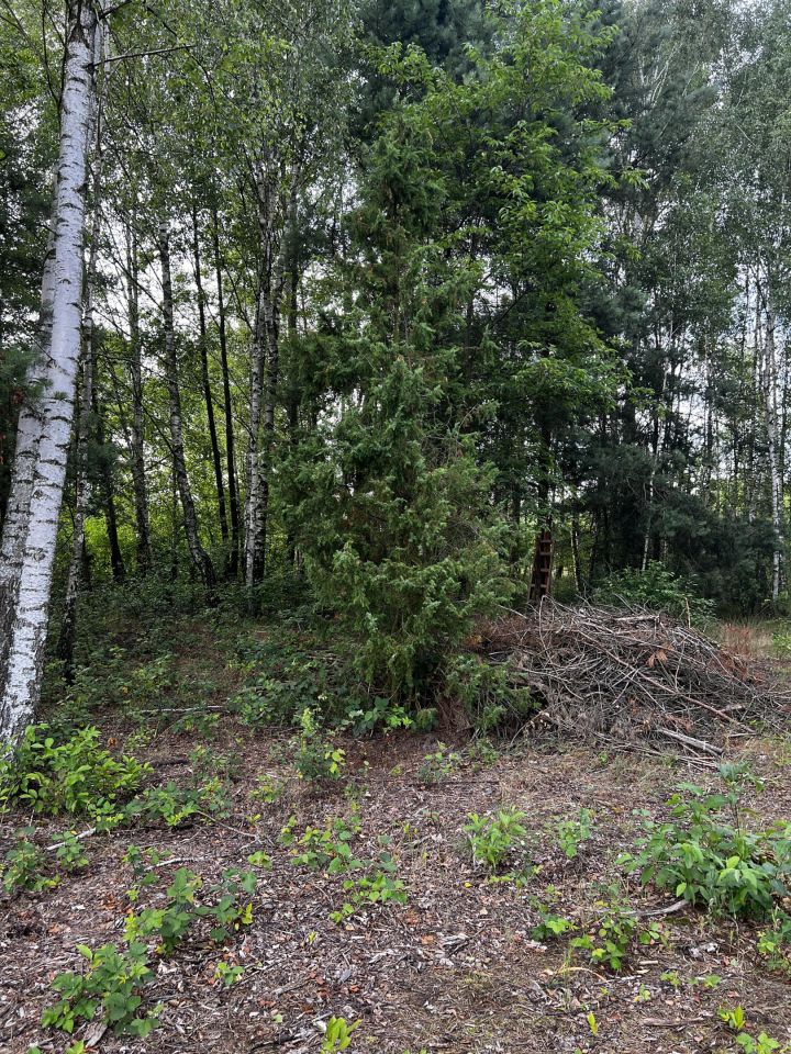 Działka budowlana Anastazew. Zdjęcie 9