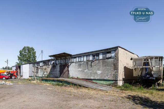 Hala/magazyn Rossoszyca, ul. Sieradzka. Zdjęcie 11