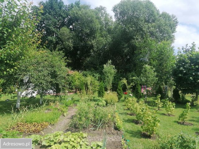 Działka rod Ostrowiec Świętokrzyski, ul. Las Rzeczki. Zdjęcie 1