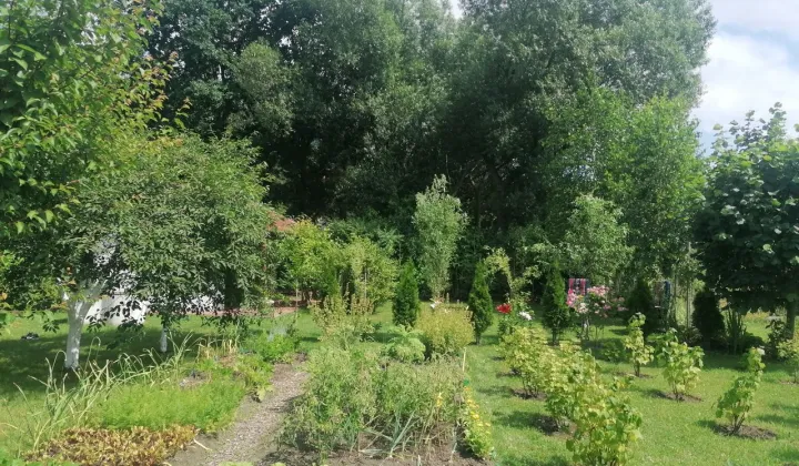 Działka rod Ostrowiec Świętokrzyski, ul. Las Rzeczki