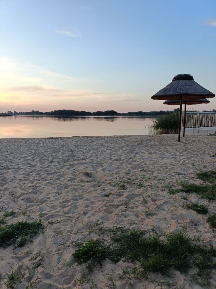 Działka rolna Zbęchy. Zdjęcie 4