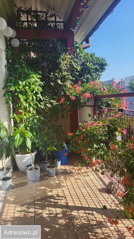 Mieszkanie 3-pokojowe Gliwice Szobiszowice, ul. Artura Grottgera. Zdjęcie 14