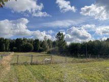 Działka rolno-budowlana Regiel, ul. Kaszubska. Zdjęcie 4