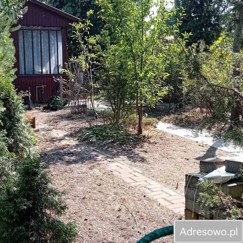 Działka rod Kajetany. Zdjęcie 1