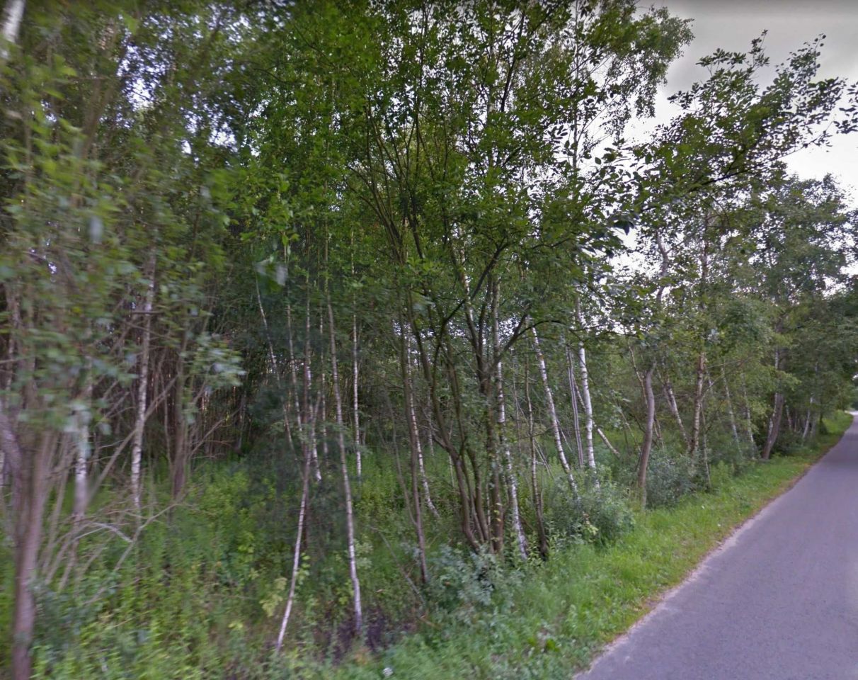 Działka rolno-budowlana Ludwików, ul. Lipowa. Zdjęcie 2