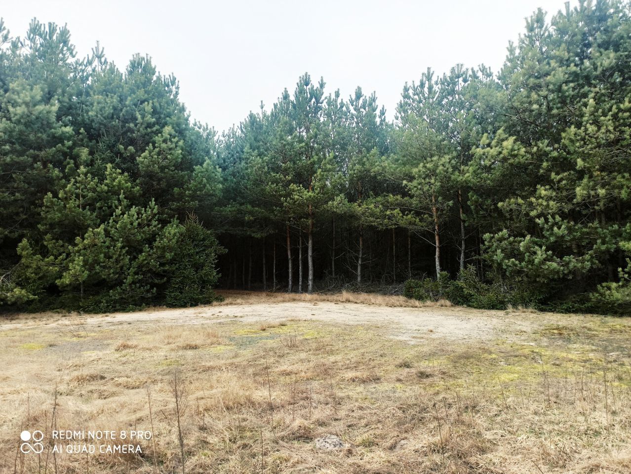 Działka inna Huta. Zdjęcie 10