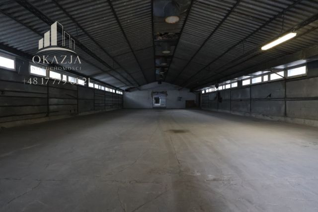 Lokal Wysoka Głogowska. Zdjęcie 4