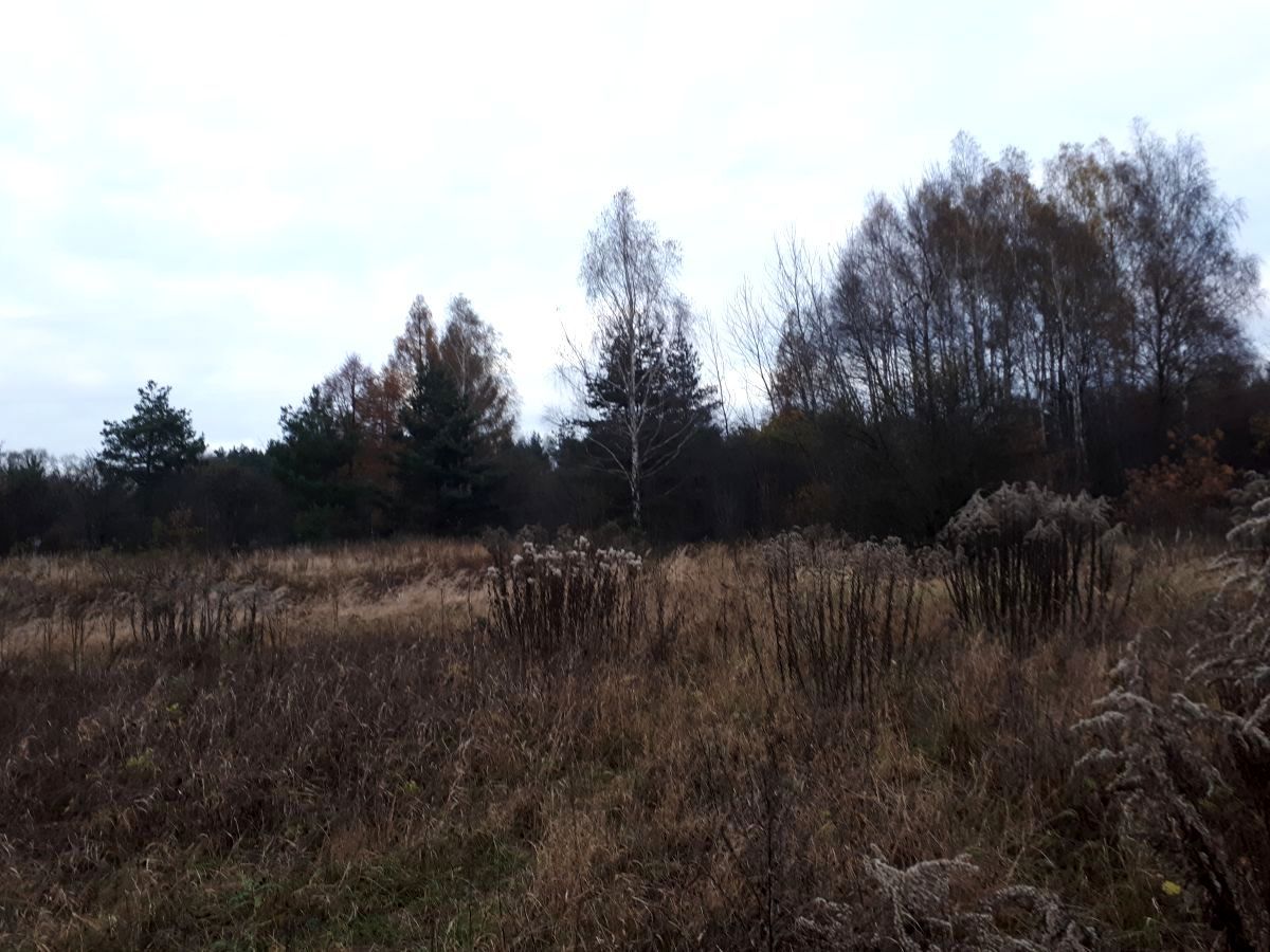 Działka rolna Libiąż, ul. Elizy Orzeszkowej. Zdjęcie 3