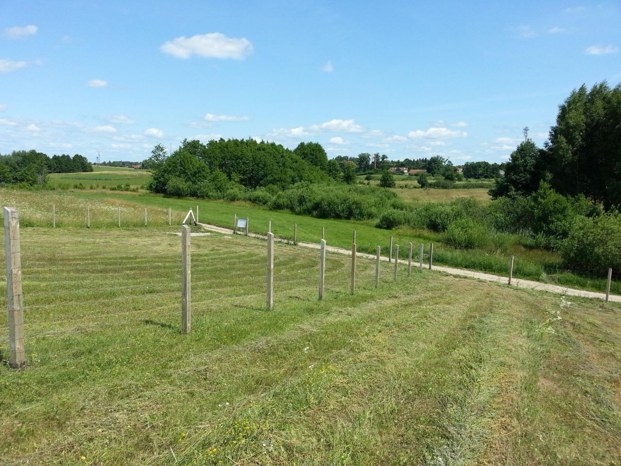 Działka rolna Prawdowo. Zdjęcie 5