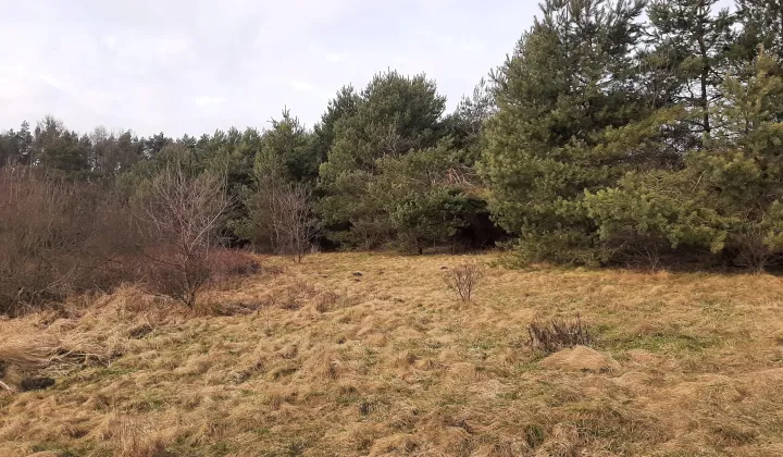 Działka budowlana Bargłówka, ul. Raciborska