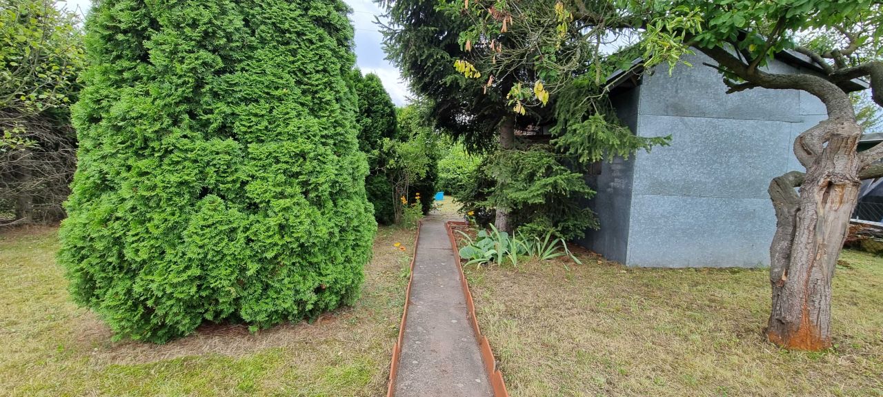 Działka rod Wrocław Brochów. Zdjęcie 2