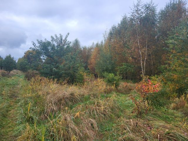 Działka Dobra. Zdjęcie 5