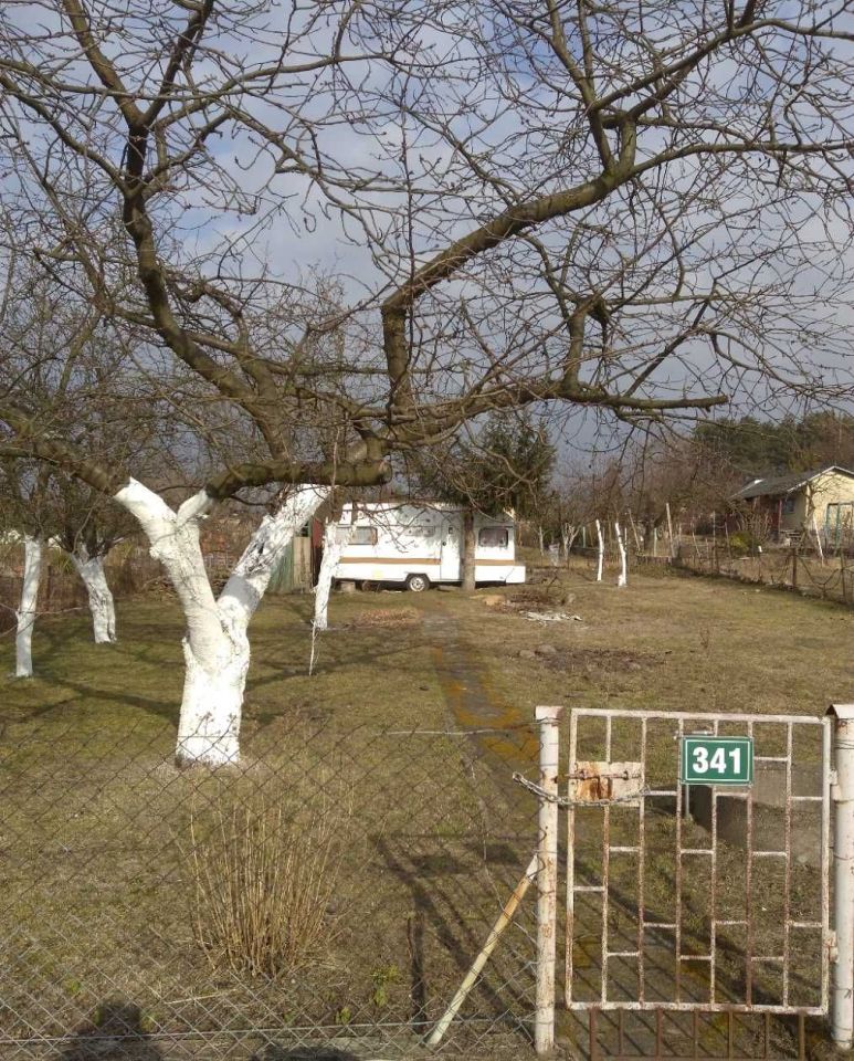 Działka rod Wilkanowo. Zdjęcie 1