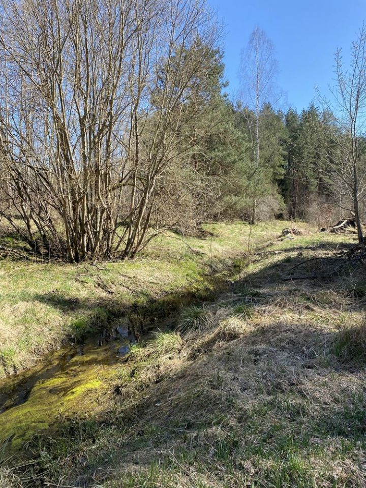 Działka rod Dywity. Zdjęcie 8