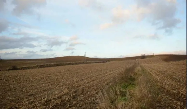 Działka rolno-budowlana Rudno Dolne