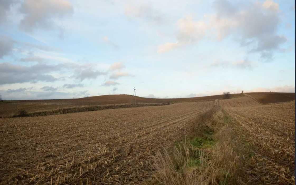 Działka rolno-budowlana Rudno Dolne. Zdjęcie 1