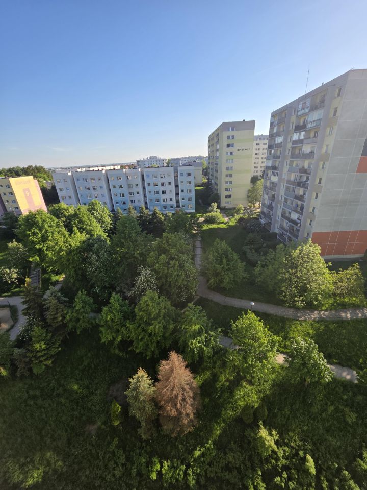 Mieszkanie 3-pokojowe Gdańsk Morena, ul. Warneńska. Zdjęcie 13