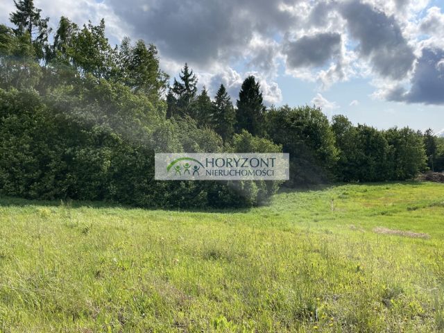 Działka budowlana Banino. Zdjęcie 11