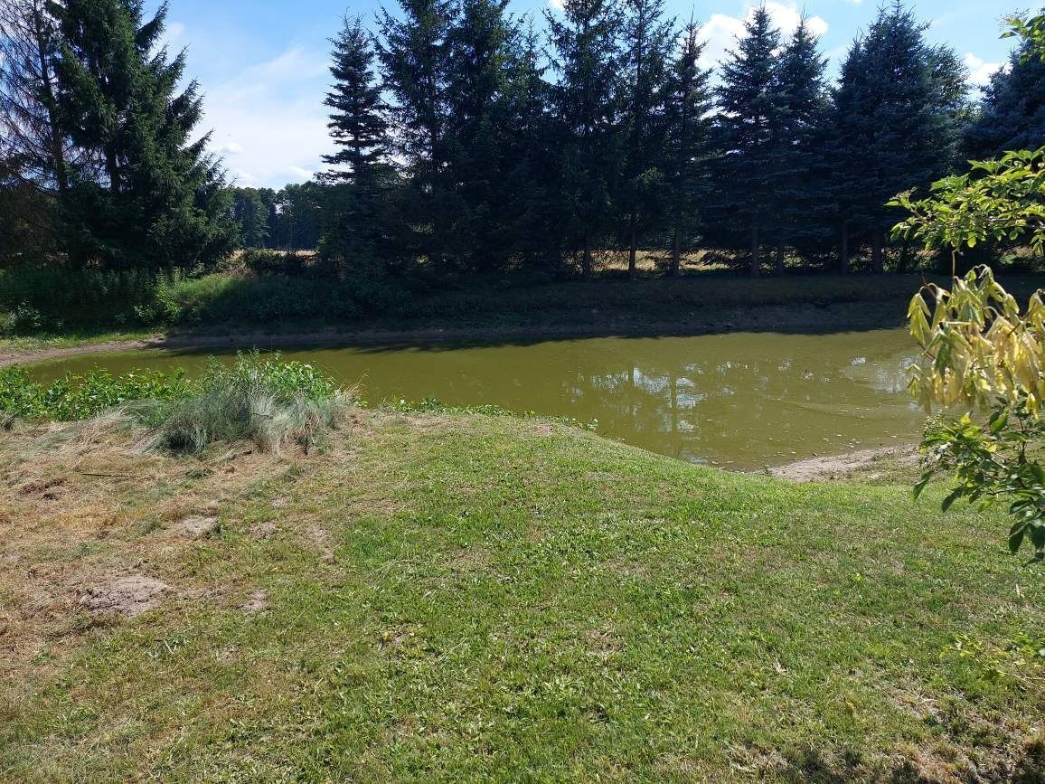 Działka budowlana Michałów