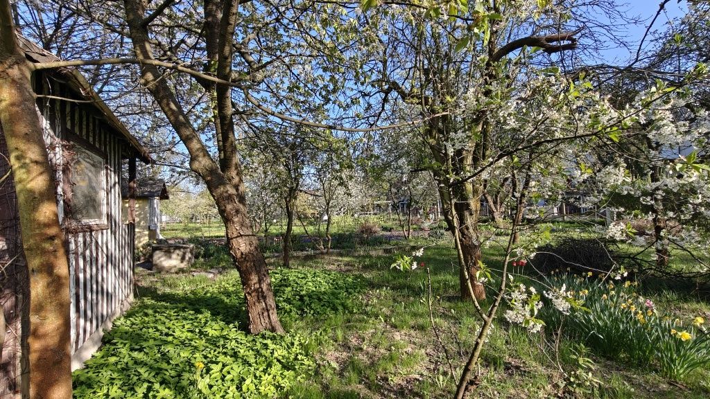 Działka rod Wrocław Krzyki. Zdjęcie 7