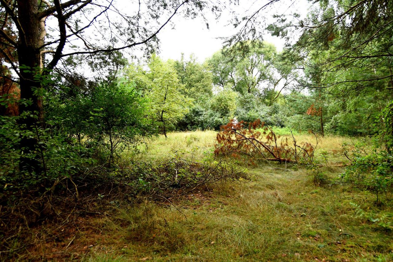 Działka budowlana Turna Duża. Zdjęcie 23