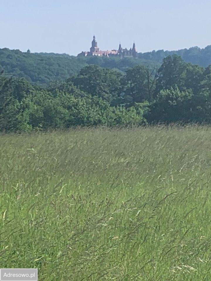 Działka budowlana Świebodzice Pełcznica, ul. Zimny Dwór. Zdjęcie 2