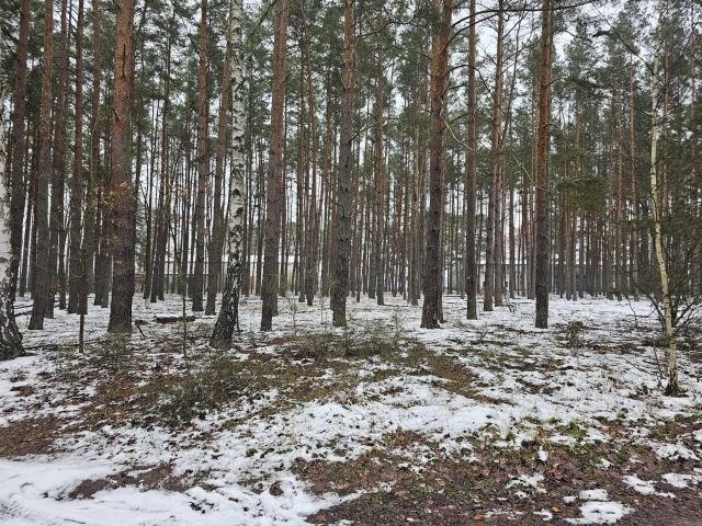 Działka rekreacyjna Radzyń, ul. Słoneczna. Zdjęcie 1