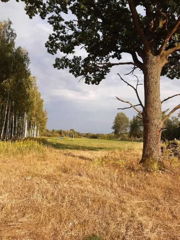 Działka rolno-budowlana Słubica Dobra, ul. Słoneczna. Zdjęcie 8