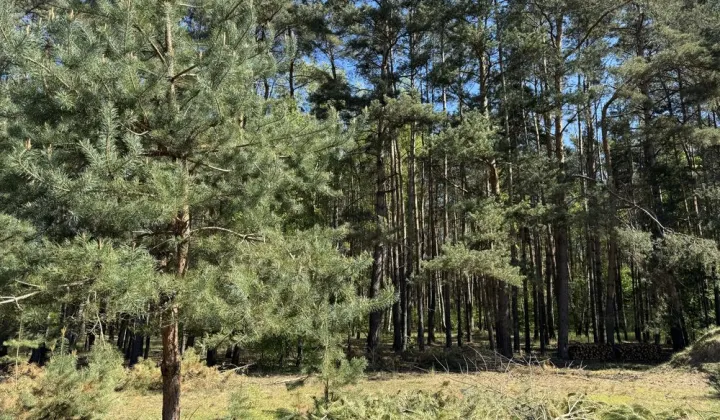 Działka budowlana Kopanki