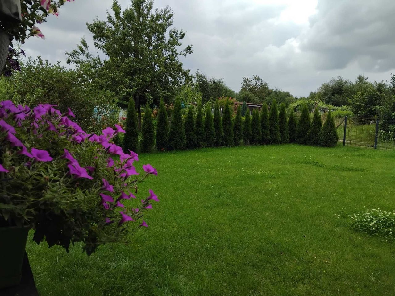 Działka rod Słupsk, ul. Gdańska. Zdjęcie 2