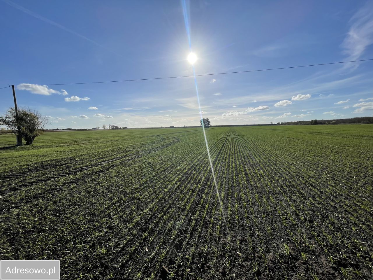 Działka inwestycyjna Karnin, ul. Lubuska. Zdjęcie 8