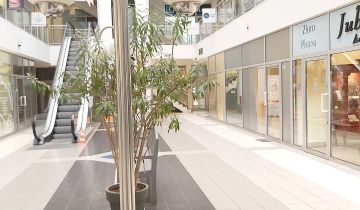 Mieszkanie 1-pokojowe Poznań Centrum, ul. Jana Henryka Dąbrowskiego