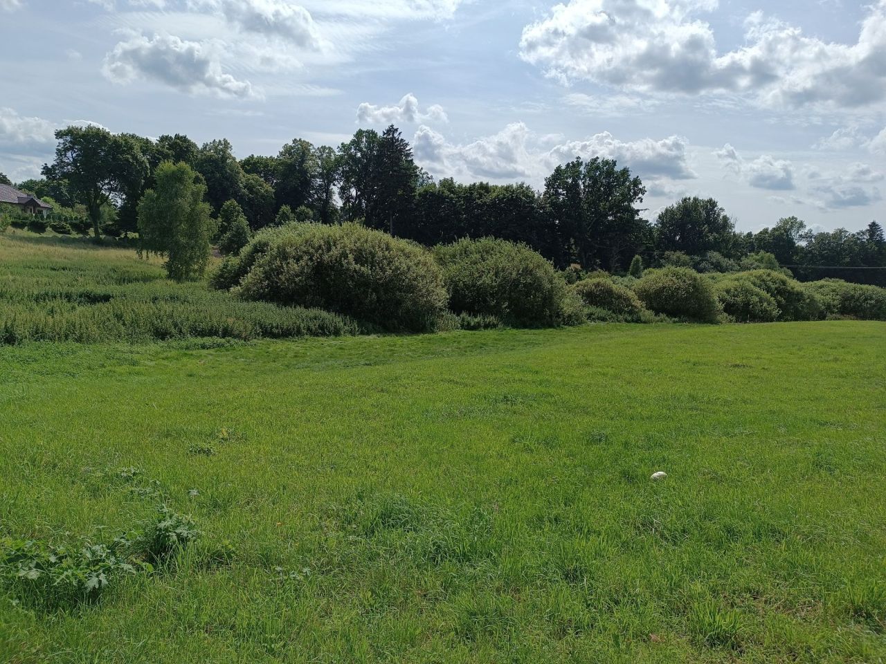 Działka rolna Pławno. Zdjęcie 5
